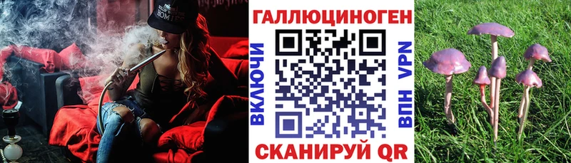 Галлюциногенные грибы прущие грибы  Бийск 