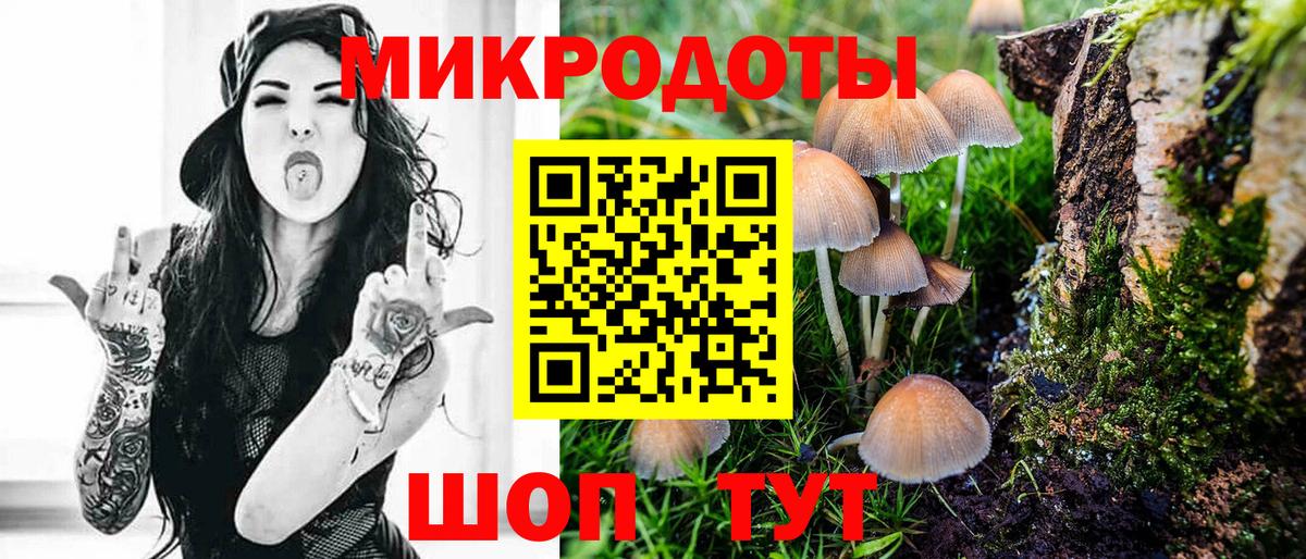 Галлюциногенные грибы Psilocybe  Псилоцибиновые грибы ЛСД  Бийск  Вход с VPN 