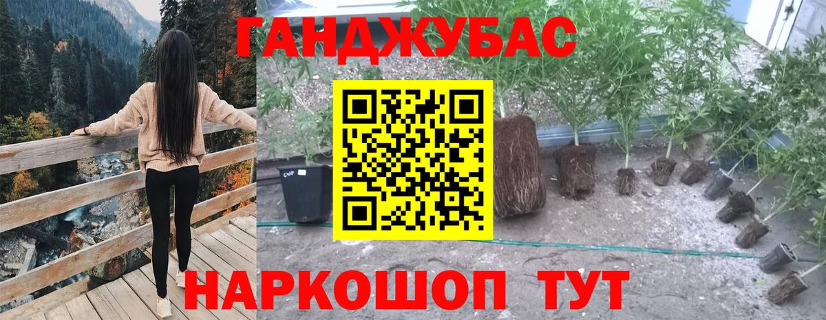 МАРИХУАНА VHQ Бийск
